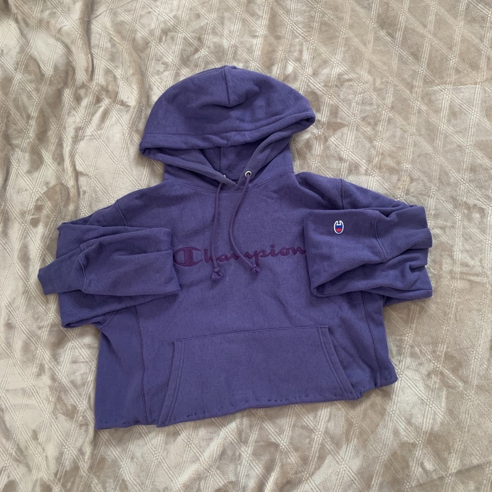 Champion croptop sweater